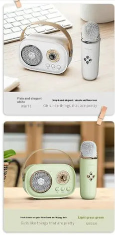 Portable Bluetooth Audio With Wireless Microphone