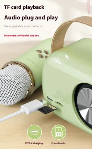 Portable Bluetooth Audio With Wireless Microphone